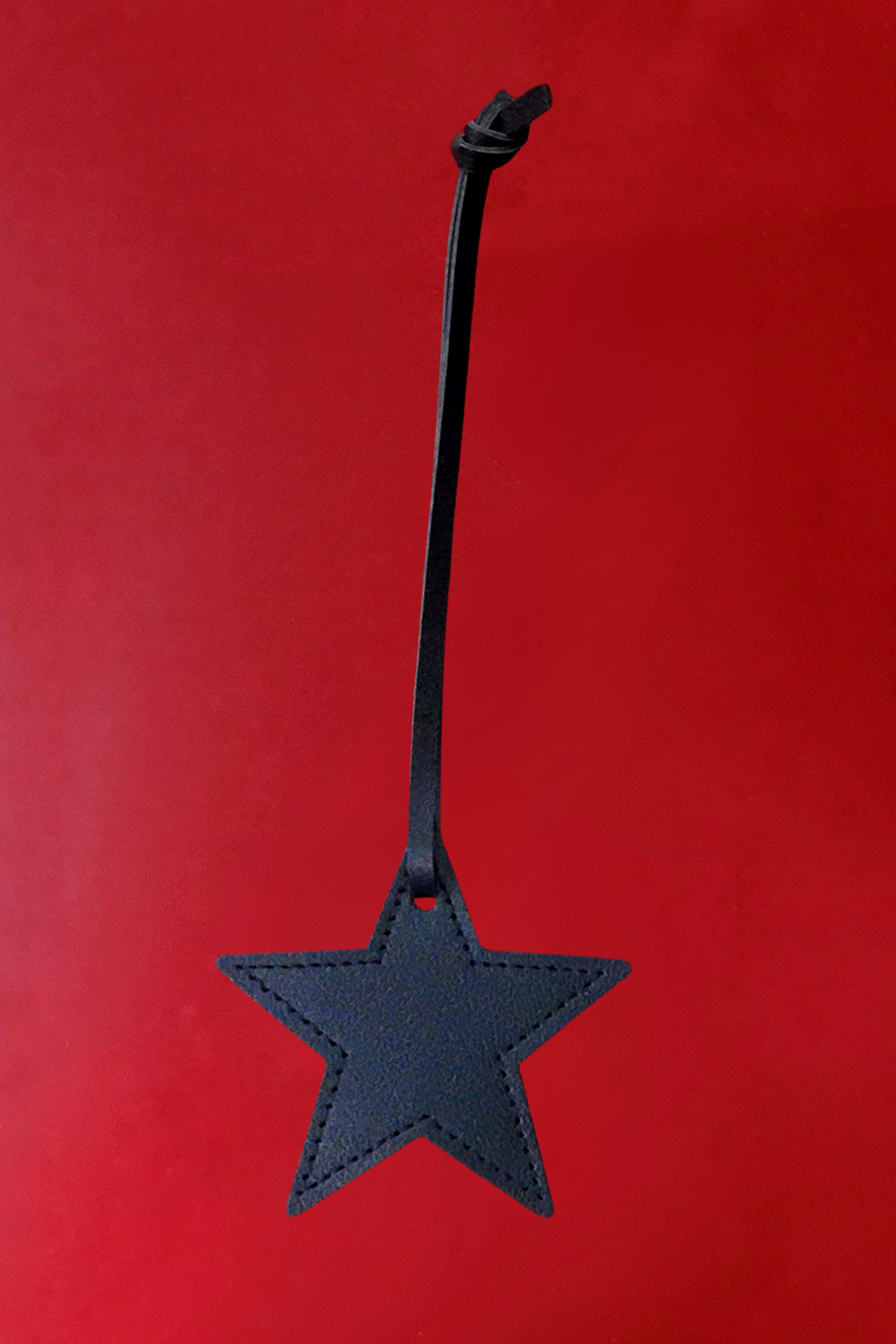 Leather star